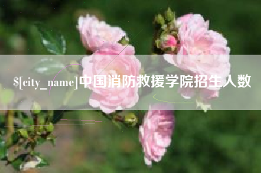 乳山中国消防救援学院招生人数