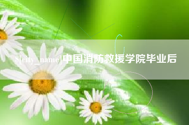 乳山中国消防救援学院毕业后