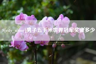 乳山男子五千米世界冠军奖金多少