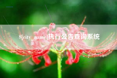 乳山执行公告查询系统