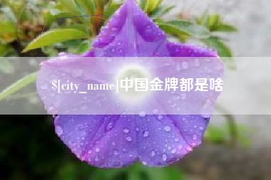 乳山中国金牌都是啥