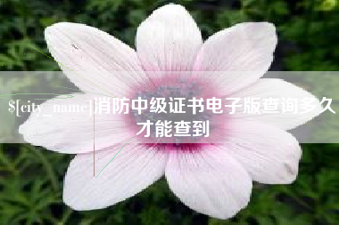 乳山消防中级证书电子版查询多久才能查到