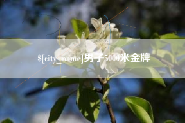 乳山男子5000米金牌