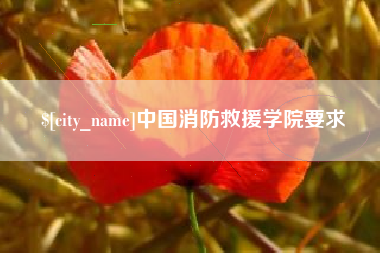 乳山中国消防救援学院要求