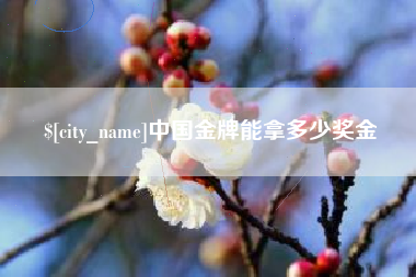 乳山中国金牌能拿多少奖金