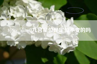 乳山九宫星位是定位不变的吗