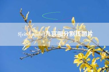 乳山九宫图分割线图片