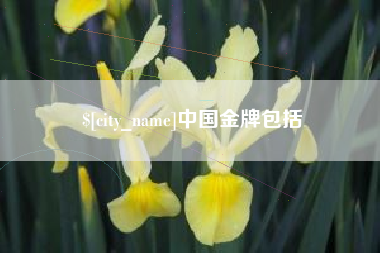 乳山中国金牌包括