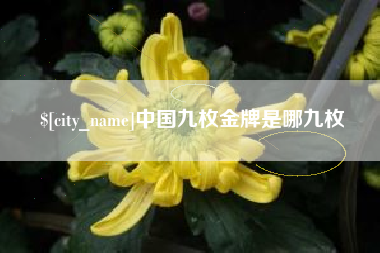 乳山中国九枚金牌是哪九枚
