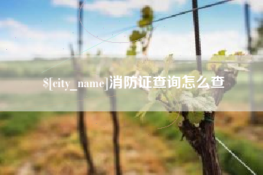 乳山消防证查询怎么查