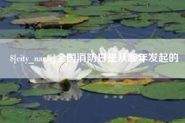 乳山全国消防日是从哪年发起的