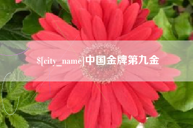 乳山中国金牌第九金