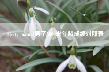 乳山男子5000米年龄成绩对照表