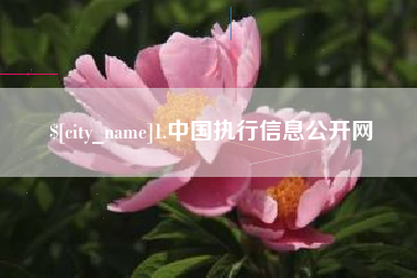 乳山1.中国执行信息公开网