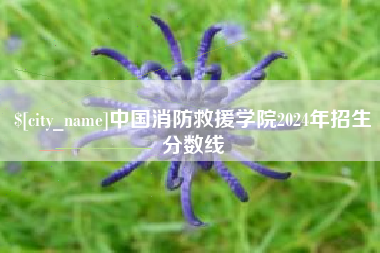 乳山中国消防救援学院2024年招生分数线