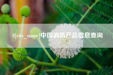 乳山中国消防产品信息查询