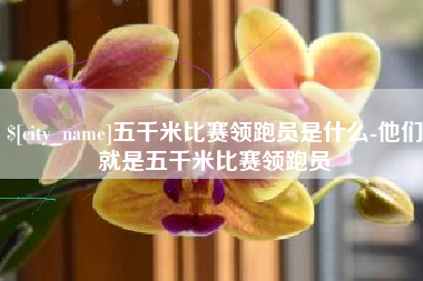 乳山五千米比赛领跑员是什么-他们就是五千米比赛领跑员
