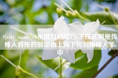 乳山60米接力赛技巧-下压式则是传棒人将棒的前部由上向下传到接棒人手中