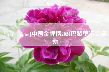 乳山中国金牌榜2024巴黎奥运会最新