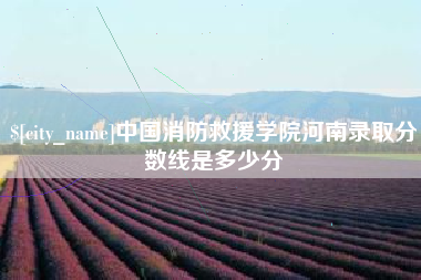 乳山中国消防救援学院河南录取分数线是多少分