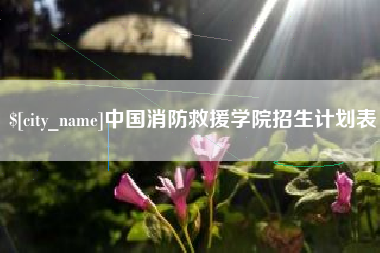 乳山中国消防救援学院招生计划表