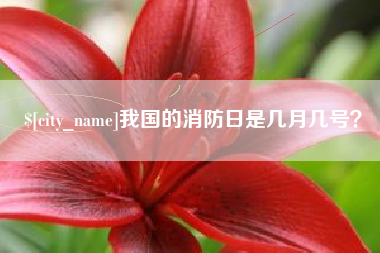 乳山我国的消防日是几月几号？