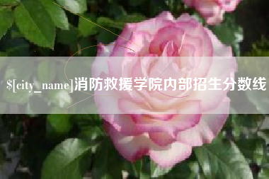 乳山消防救援学院内部招生分数线