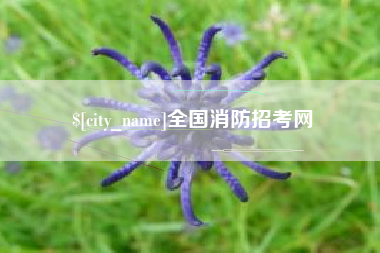 乳山全国消防招考网