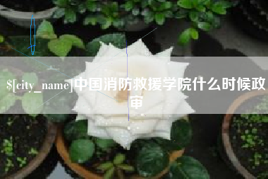 乳山中国消防救援学院什么时候政审