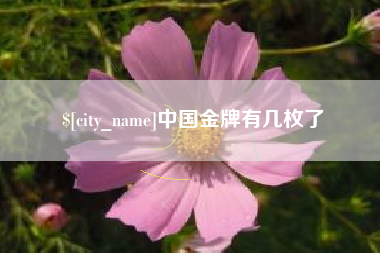 乳山中国金牌有几枚了