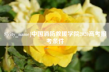 乳山中国消防救援学院2020高考报考条件