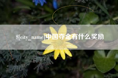 乳山中国夺金有什么奖励