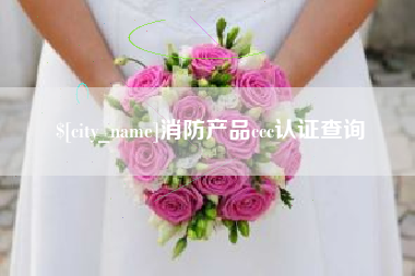 乳山消防产品ccc认证查询