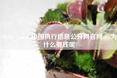 乳山中国执行信息公开网官网app为什么要钱呢
