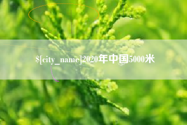 乳山2020年中国5000米
