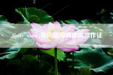 乳山消防证国网查询操作证