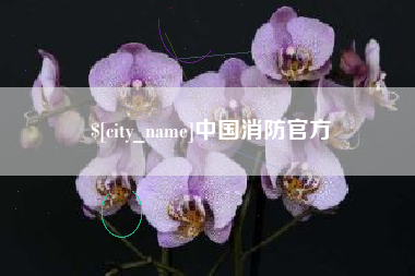 乳山中国消防官方