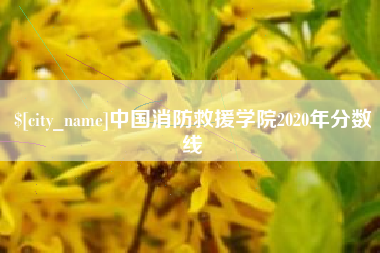 乳山中国消防救援学院2020年分数线