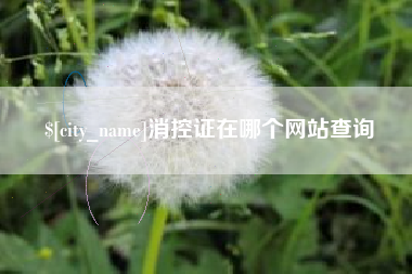 乳山消控证在哪个网站查询