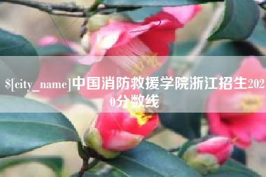 乳山中国消防救援学院浙江招生2020分数线