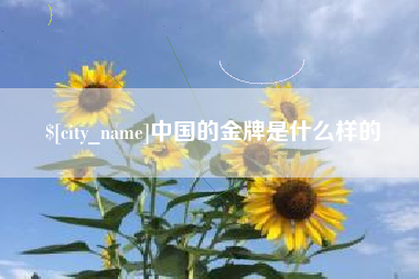 乳山中国的金牌是什么样的