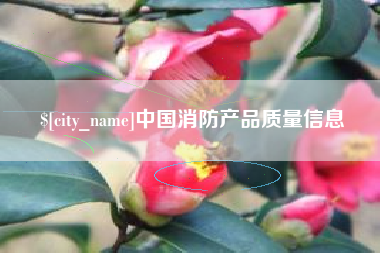 乳山中国消防产品质量信息