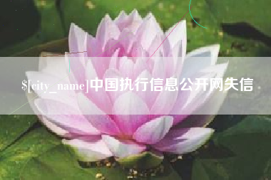 乳山中国执行信息公开网失信