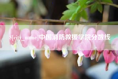 乳山中国消防救援学院分数线
