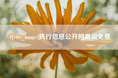 乳山执行信息公开网查询免费