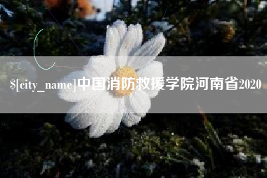 乳山中国消防救援学院河南省2020